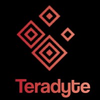 Teradyte logo - Similar company to Datatech Space