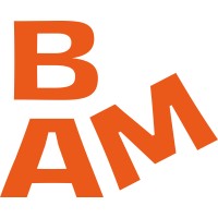 BAM Media logo - Similar company to Webdelta - Online Marketing & Website Bouw