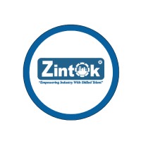 ZINTOK TECHNOLOGY PVT LTD logo - Similar company to Stepica Solutions