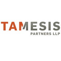 Tamesis Partners LLP logo - Similar company to Lance Partners