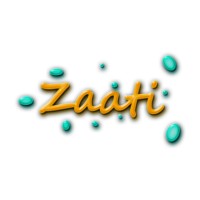 ZAATI Consulting logo - Similar company to Finaar