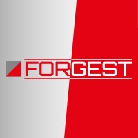 FORGEST logo - Similar company to Frejus Var Volley