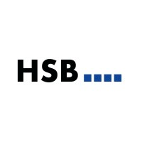 HSB Consulting GmbH logo - Similar company to White Fox Advisory
