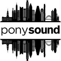 Pony Sound logo - Similar company to Studio Topaz