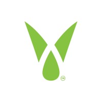 Vegitisyen Plant Based Solutions logo - Similar company to Plantbased Solutions