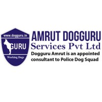 Amrut Dog Guru services Private limited logo - Similar company to Digillence Rolson Digital Llp