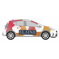 Elaine - SDOH Transportation