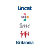Lincat Group logo - Similar company to Real Ai Dynamics