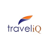 Travel IQ Services Private Limited logo - Similar company to Webshlok Digital Services