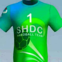 Guangzhou Saidian Sporting Goods Co.,Ltd logo - Similar company to Guangzhou Roadsunshine Sports Wear Co., Ltd
