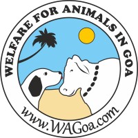 Welfare for Animals in Goa logo - Similar company to Veganvoice