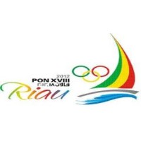 Pekan Olahraga Nasional  XVIII logo - Similar company to Hayvee