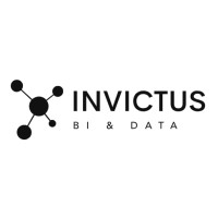 Invictus BI & Data logo - Similar company to Invictus Data Ltd