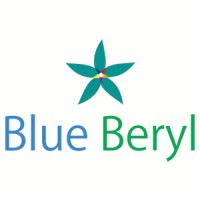 BlueBeryl logo - Similar company to Blueberys