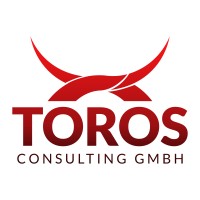 Toros Consulting logo - Similar company to Nebulinx