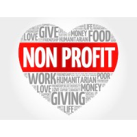 Non-Profit Organization logo - Similar company to Projectx
