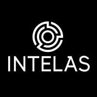 Intelas logo - Similar company to The Metapause