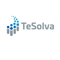 TeSolva I Falk & Hattemer GbR logo - Similar company to I-Tech Gmbh & Co. Kg