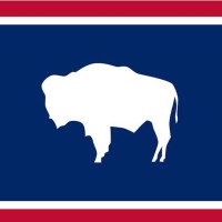 Bison Consulting & Marketing logo - Similar company to Bison Consulting