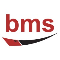 BMS Technologies logo - Similar company to Six15 Technologies