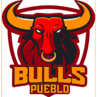 Pueblo Bulls Hockey Club logo - Similar company to Meins