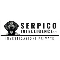 Serpico Intelligence srl Agenzia Investigativa Commerciali Patrimoniali logo - Similar company to Icaro Artificial Intelligence