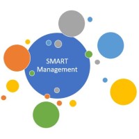 Wise Leadership, Management, Resilience logo - Similar company to Evost Consulting