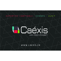 CAEXIS logo - Similar company to Idris Software