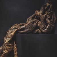 biek verstappen logo - Similar company to Chiarastella Cattana