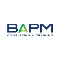 BAPM Consulting logo - Similar company to K&S Consulting