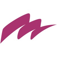 Microsynergy Management Consultancy logo - Similar company to Microsynergy