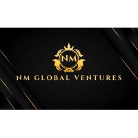 NM Global Ventures logo - Similar company to Fincorp