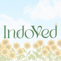 IndoVed logo - Similar company to Ritson Services - Hangout Hub