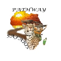 Pathway safaris logo - Similar company to Tripsyncer