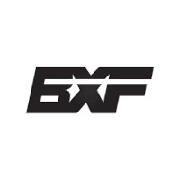 BabylonXFighting logo - Similar company to Babylon Media Group