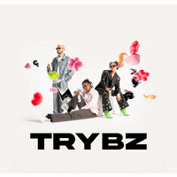 TRYBZ logo - Similar company to Blackmotion