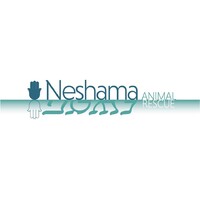 Neshama Animal Rescue logo - Similar company to Shared Focus Grp