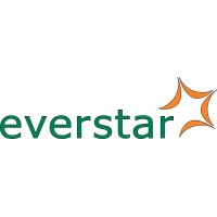Everstar Engineering & Services logo - Similar company to Fabtec Asia Engineering Pte Ltd