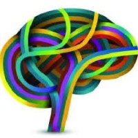 BrainFrame Learning logo - Similar company to The Core Edge Prep