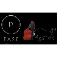 PASE Supply Chain Solutions & Consulting logo - Similar company to Structure