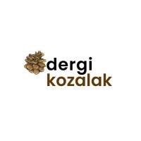 DERGİ KOZALAK logo - Similar company to Kozalak Dergisi