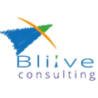 BLiiVE consulting logo - Similar company to Beliive
