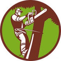 Hawthorne's Tree Service Lakeland FL logo - Similar company to Threatshield Security