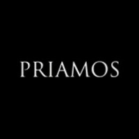 Priamos Consulting logo - Similar company to Priamos Consulting Group E.V.
