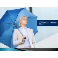 Megalines Insurance & Risk Advisers logo - Similar company to Wyndham Biznet