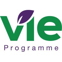 VIE Programme logo - Similar company to Axize
