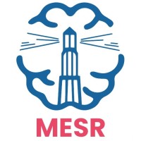MESR - Mentorship for Egyptian Students and Researchers logo - Similar company to Datalentech