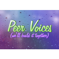 Peer Voices Network logo - Similar company to Cec Artslink