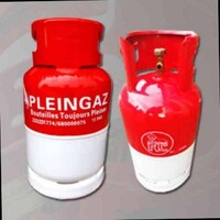 PLEINGAZ CAMEROUN logo - Similar company to A2Ed