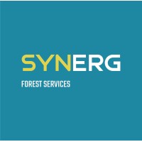 SYNERG logo - Similar company to Floponor, S.A.